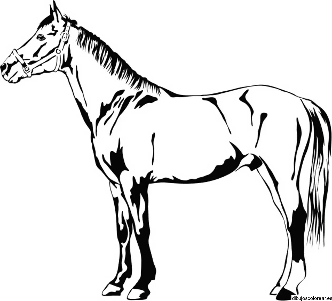 Dibujo de un bello caballo