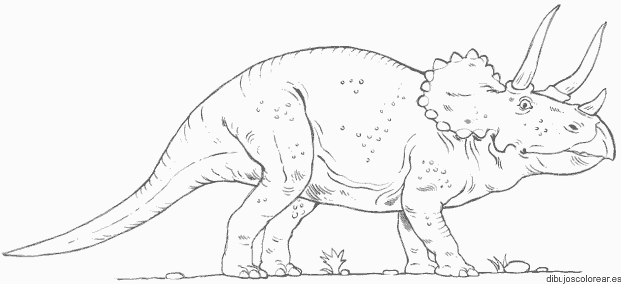 Dibujo de un dinosaurio de pequeño tamaño