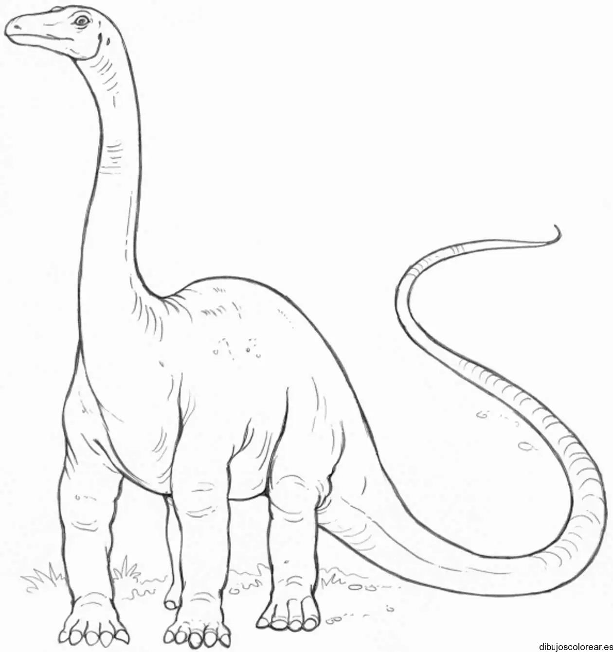 Dibujo de un dinosaurio de cuello largo 