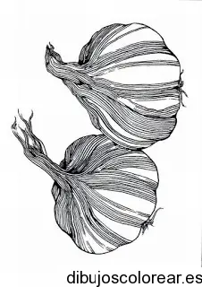 Dibujo de dos cabezas de ajo