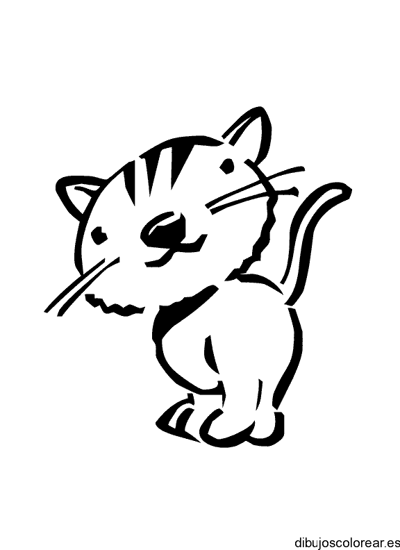 Tatuaje de un cachorro tigre