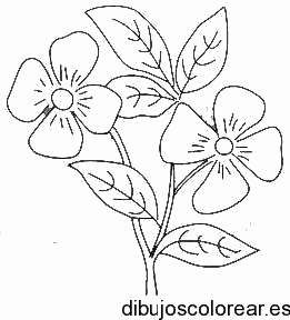 Dibujo de una rama con flores