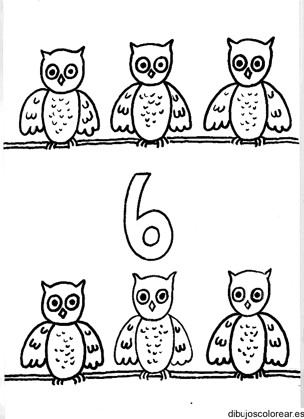 Dibujo de 6 búhos