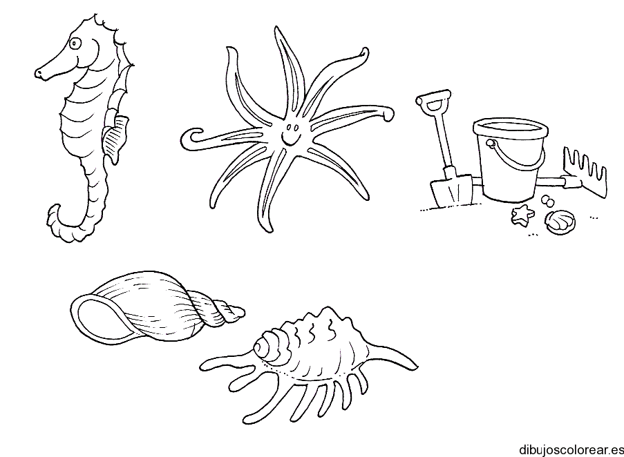 Dibujo de animales marinos en la arena