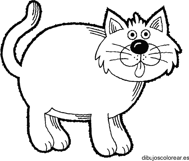 Dibujo de un gato gordo