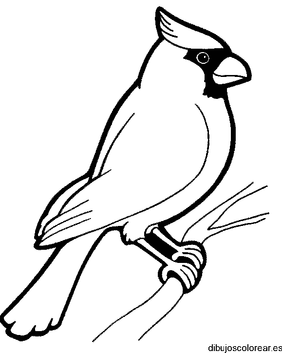 Dibujo de un pájaro en una pequeña rama