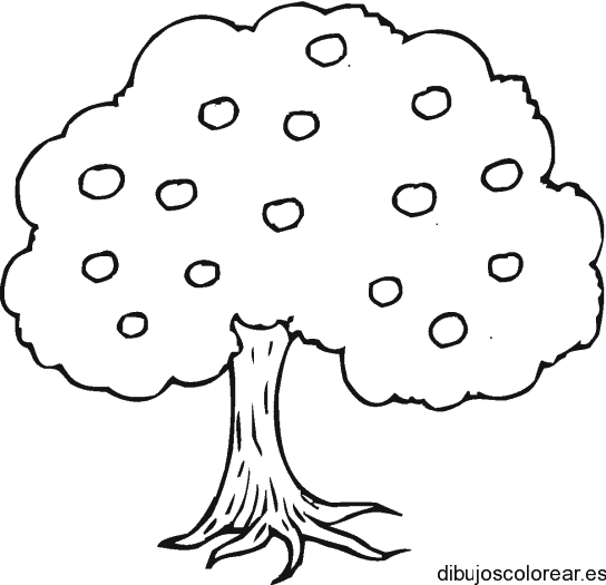 Dibujo de un árbol con frutos