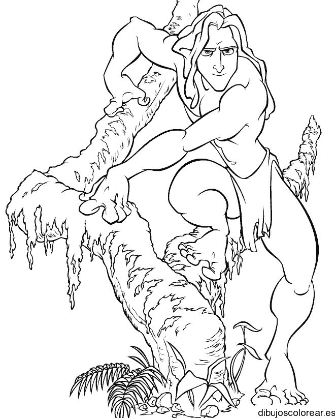 Dibujo de Tarzán deslizándose en un árbol