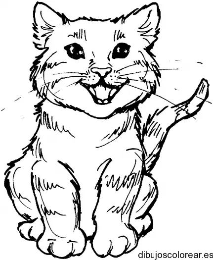 Dibujo de un gato maullando
