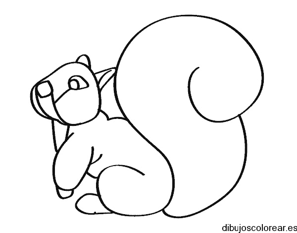 Dibujo de una gorda ardilla