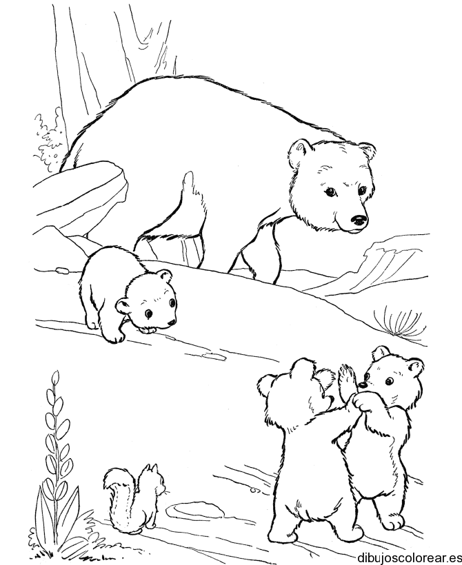 Dibujo de una osa y sus cachorros