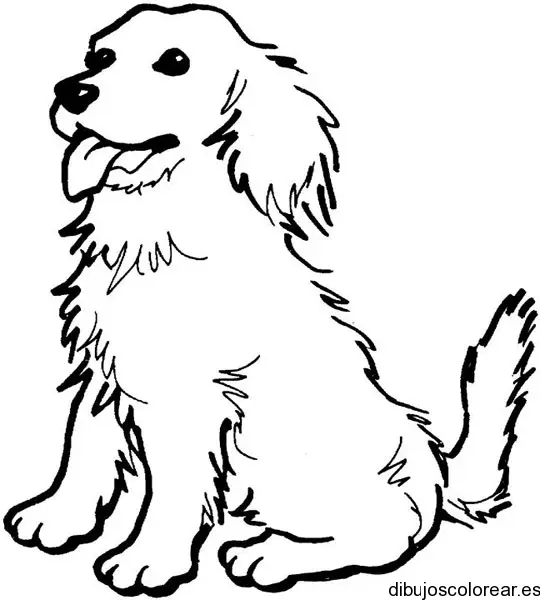 Dibujo del perro Lassie
