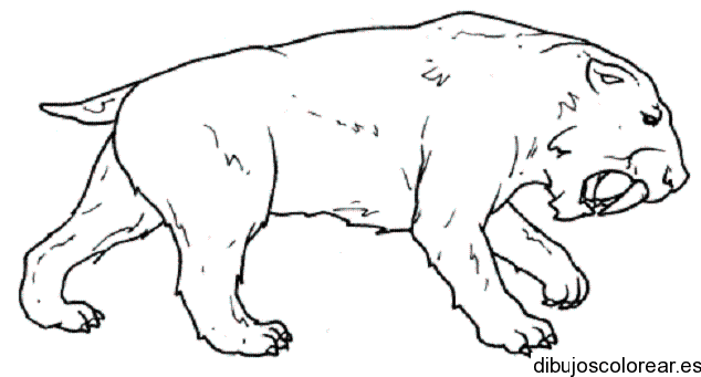 Dibujo de un león feroz