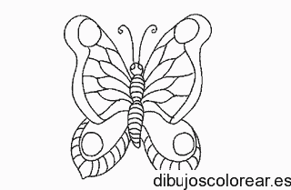 Dibujo de una mariposa de frente 