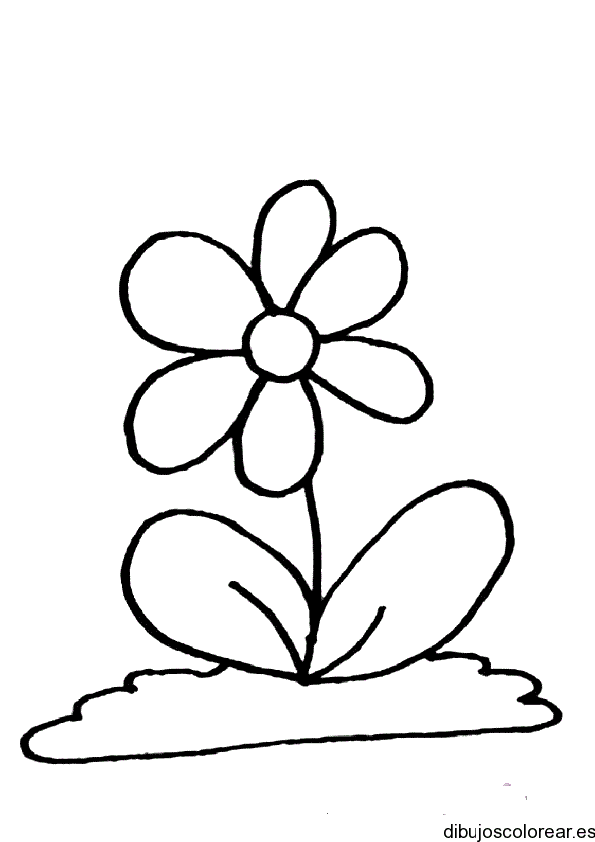 Dibujo de una planta 