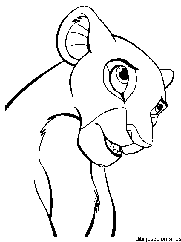 Dibujo Nala 