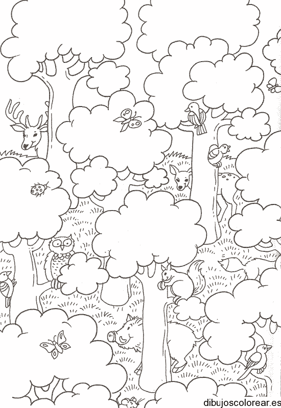 Dibujo de un bosque