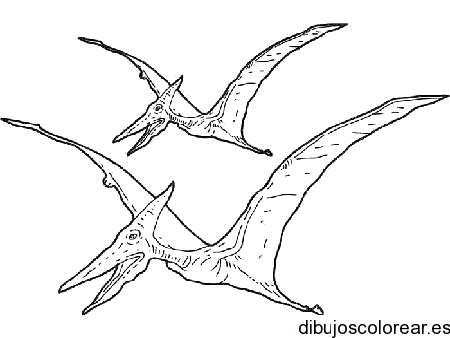 Dibujo de dos dinosaurios volando