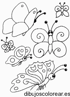 Dibujo de mariposas revoloteando