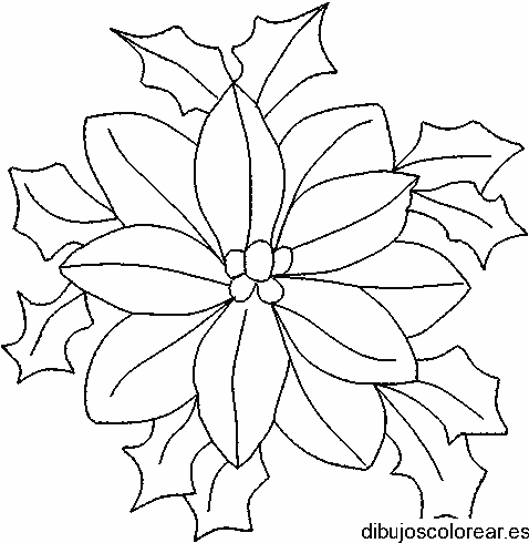 Dibujo de una flor de pascua