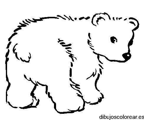 Dibujo de un pequeño oso