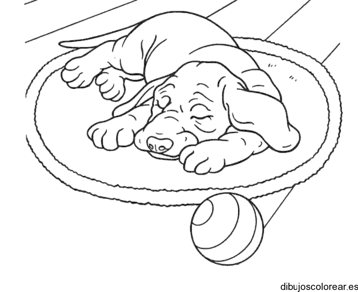 Dibujo de un perro durmiendo