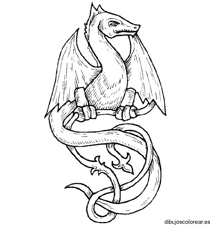 Dibujo de un sorprendente dragón 
