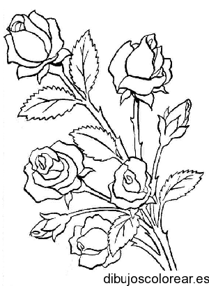 Dibujo de un rosal