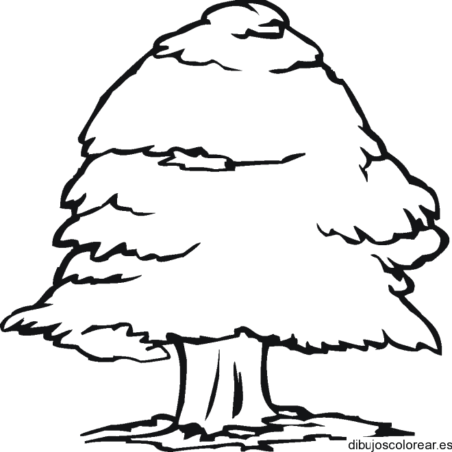 Dibujo de un árbol grande