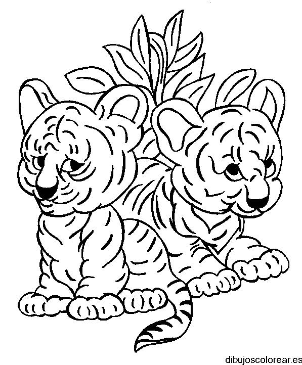 Dibujos de dos cachorros de tigre