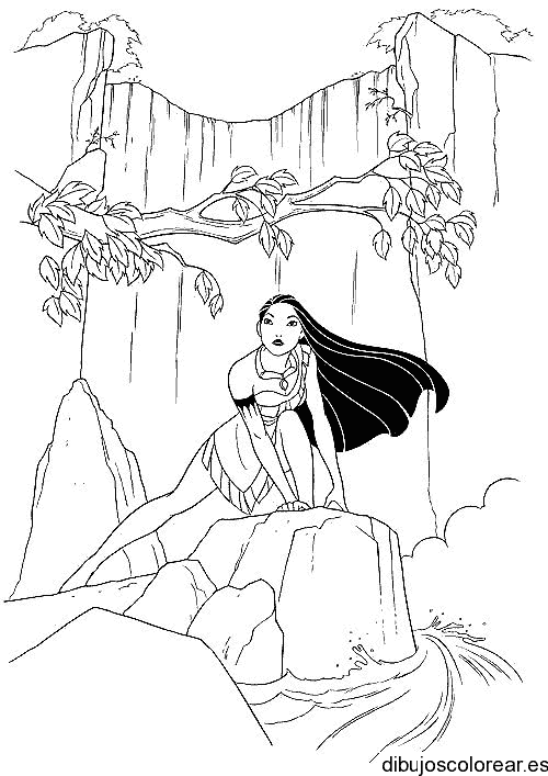 Dibujo de Pocahontas en una roca