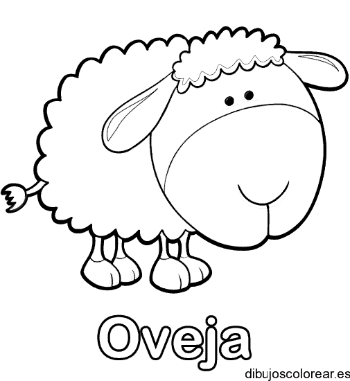 Dibujo de una simpática oveja