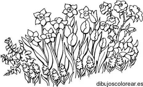 Dibujo de un jardín de rosas 