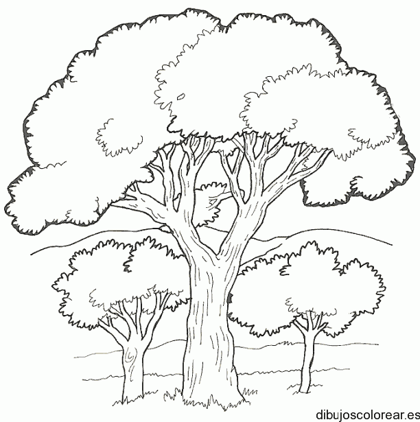 Dibujo de árboles en una colina