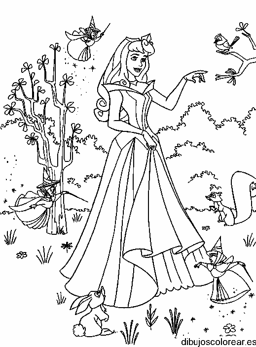 Dibujo de Bella con las hadas 