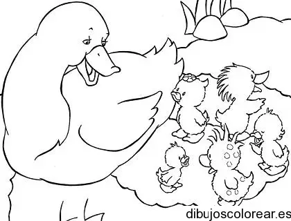 Dibujo de familia de patos