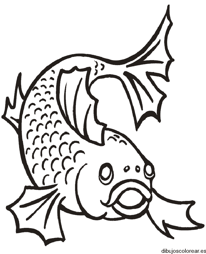 Dibujo de un pez gordo