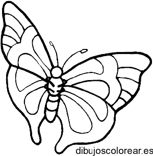 Dibujo de una mariposa monarca