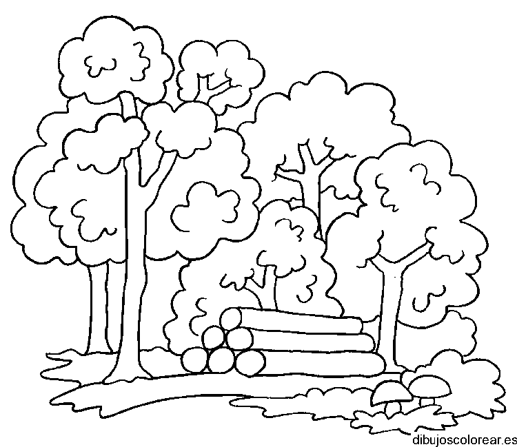 El bosque