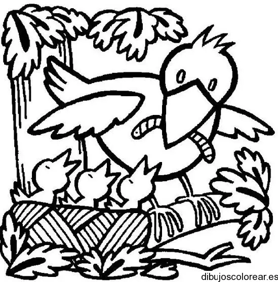 Familia de pájaros