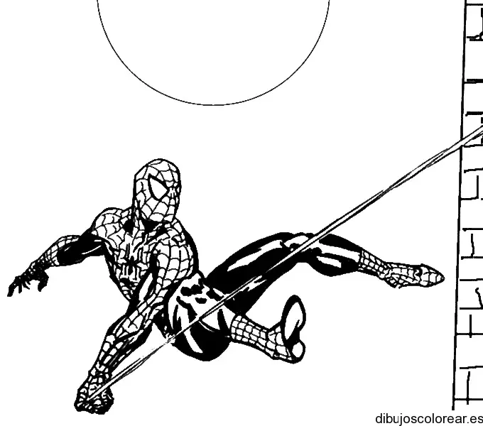 El hombre araña 