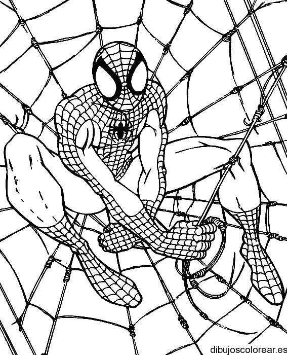 Spiderman