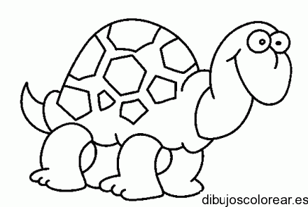 Una tortuga sonriente