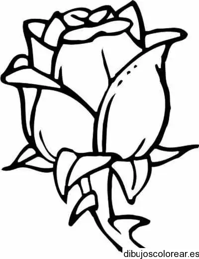 Dibujo de Pocoyo jardinero