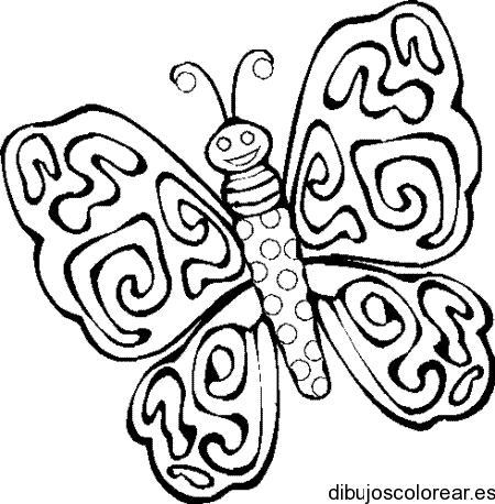 Dibujo de mariposa con las alas abiertas 