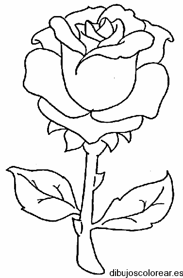 Dibujo de rosa pequeña 