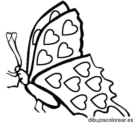 Dibujo de mariposa con las alas cerradas 