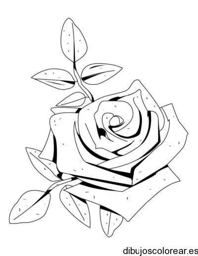 Dibujo de rosa 