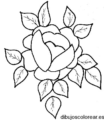 Dibujo de una rosa pequeña 