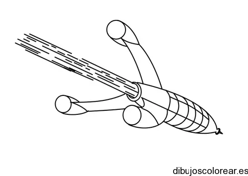 dibujos_colorear (8)